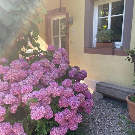 Ferienwohnung Südliche Weinstraße zwischen Wald und Reben Klingenmünster Exterior foto