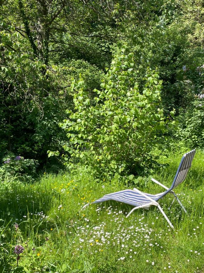 Ferienwohnung Südliche Weinstraße zwischen Wald und Reben Klingenmünster Exterior foto