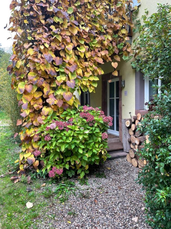 Ferienwohnung Südliche Weinstraße zwischen Wald und Reben Klingenmünster Exterior foto