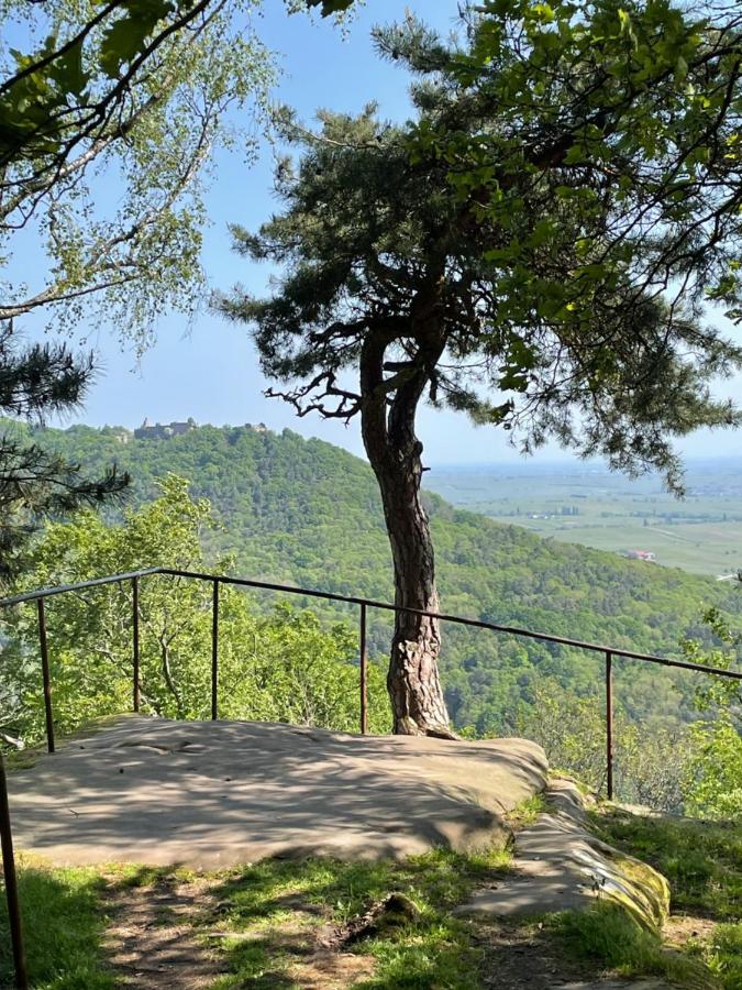 Ferienwohnung Südliche Weinstraße zwischen Wald und Reben Klingenmünster Exterior foto