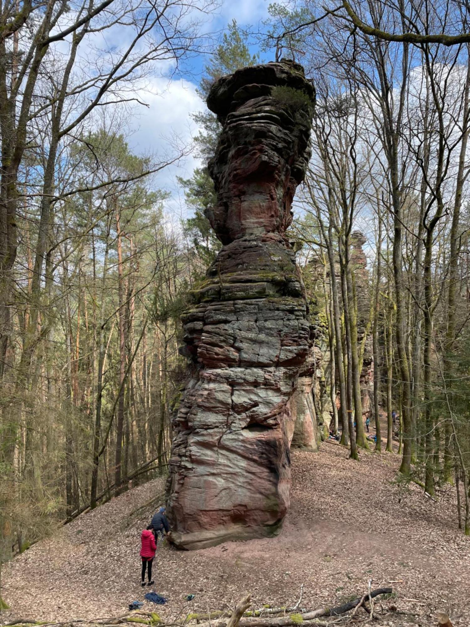 Ferienwohnung Südliche Weinstraße zwischen Wald und Reben Klingenmünster Exterior foto